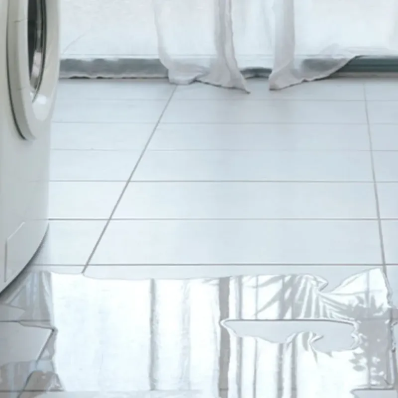 Appliance Leak Cleanup in East Troy, WI