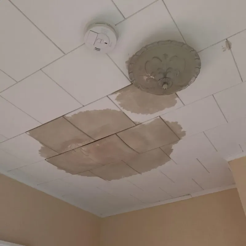 Ceiling Water Damage Repair in East Troy, WI