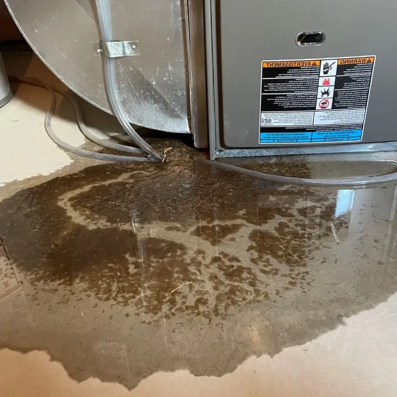 Pipe Burst and Leak Restoration in East Troy, WI