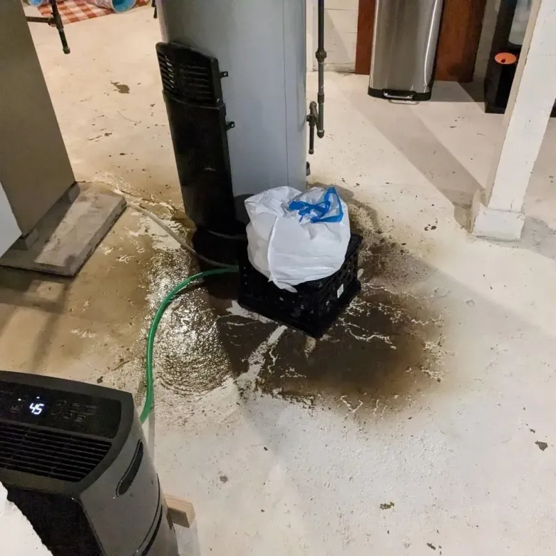 Sewage Backup Cleanup Service in East Troy, WI